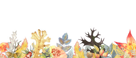 Autumn leaves watercolour seamless banner, frame with oak tree, maple, rosehip, ashberry, rowan, sorb, wild ash, acorn, aspen, elm, ginko, fantasy herbs hand drawn isolated on whiteの写真素材