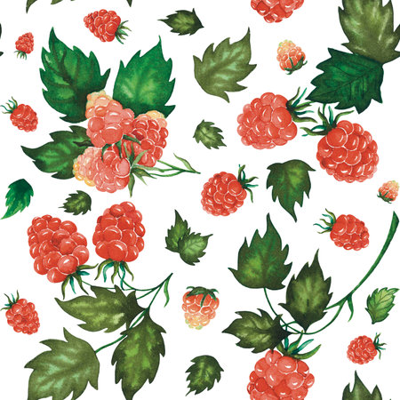 Seamless watercolour raspberry pattern with berries and leaves hand drawn isolated on whiteの写真素材