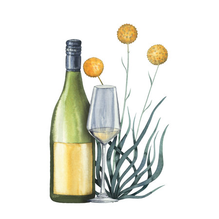 Australian wine watercolor composition with koala, eucalyptus and bottle hand drawn isolated on whiteの写真素材