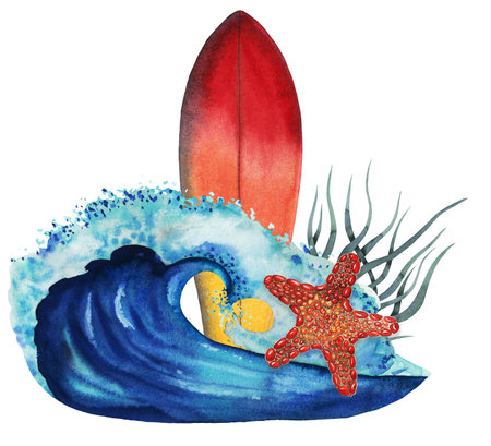 Composition of surf board red and yellow color with sea star, wave and seaweed watercolour hand drawn isolated on whiteの写真素材