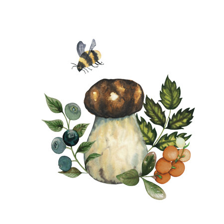 Composition of watercolour wild forest baby edible porcini mushroom with blueberry and cranberry fruits, leaves and bumblebee. Isolated hand drawn illustration on white backgroundの写真素材