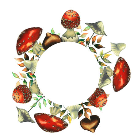 Watercolor red fly agarics round frame with big and small mushrooms, autumn leaves, herbs, fungus. Isolated hand drawn illustration for decoration and greeting cards on white backgroundの写真素材