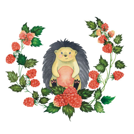 Watercolour kids raspberry wreath and hedgehog. hand drawn illustration isolated on whiteの写真素材