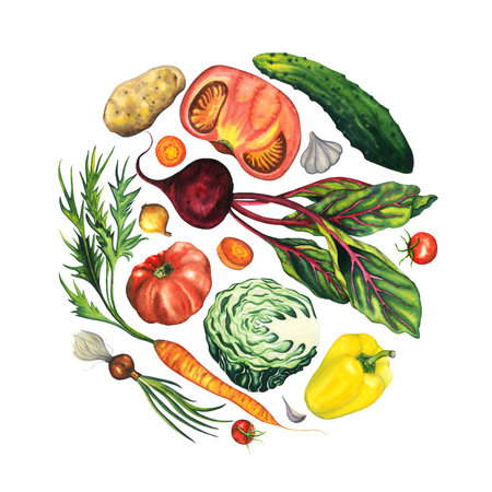 Hand drawn vegetable set of isolated beetroot, carrot, tomato, potato, onion, green onion, bell paper, cherry tomato, garlic, cabbage, cucumber, arranged in a circle. Vegetarian food design for shop, book, menu, poster, banner. Isolated on white illustrationの写真素材
