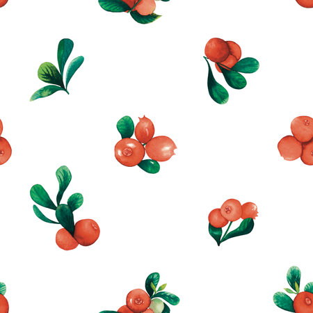 Seamless watercolour cranberry pattern with lingonberry berries, leaves hand drawn isolated on white. For textile, wrapping paper, backgroundsの写真素材