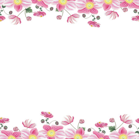 Seamless border and frame with pink anemone, leaves and bud. Hand drawn illustration isolated on white. Botanical background for greeting card, banner, invitation design wallpaper decorationの写真素材