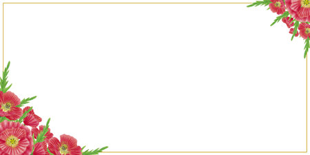 Red poppy horizontal banner, greeting card, invitation with field flowers. Design template with place for text. Hand drawn illustration isolated on whiteの写真素材