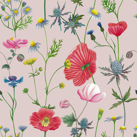 Wildflowers seamless pattern with poppy camomile, cornflower, eryngium, ranunculus, anemone flowers. Hand drawn illustration isolated on pinkの写真素材