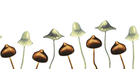 Watercolour seamless horizontal border with toadstools brown and white. Autumn wild forest composition. Hand drawn illustration on white background for banner, card, poster, website decorationの写真素材
