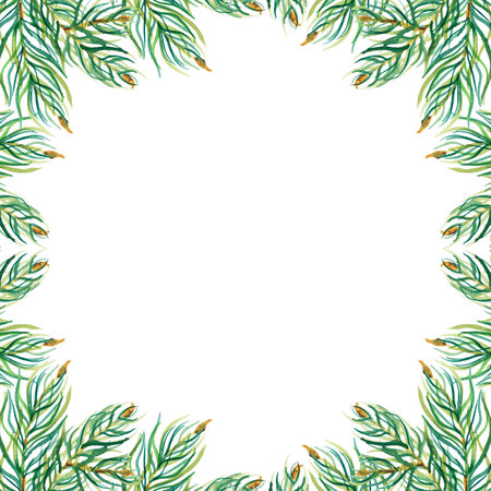 Watercolour fir square branches frame. Hand drawn illustration isolated on white, decoration for Christmas and New Yearの写真素材