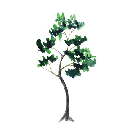 Watercolor tree, minimal style, side view. Hand drawn watercolour illustration, isolated on white background. Environment and ecology. Tall green conifer plants. Woodland nature summer forest clipart for card, invitation, poster, design. Aquarelle sketch of wild nature, paintingの写真素材