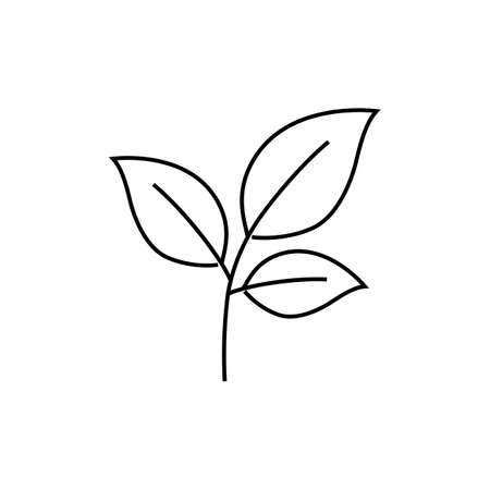 Leaf outline icon. linear style sign for mobile concept and web design. Eco simple line vector icon. Symbol, logo illustration.のイラスト素材