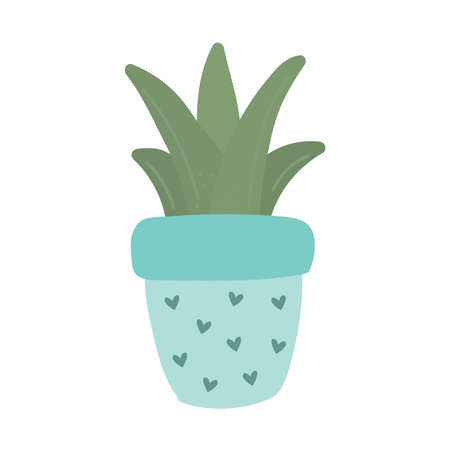 Blue succulent plant in hygge styleのイラスト素材