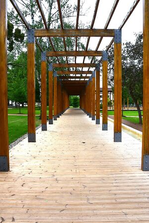 Wooden path in the parkの写真素材