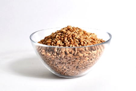 spelled wheat in glass bowlの写真素材