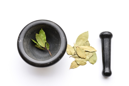 Fresh and Dry Bay Leaves and Mortal