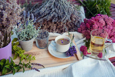 Lavender and Yarrow herbal teaの写真素材
