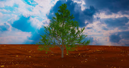 3d illustration, tree colors in front of blue skyの写真素材