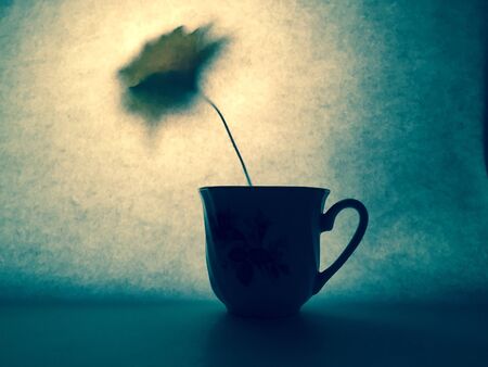 Silhouette of a cup with flower on the backgroundの写真素材