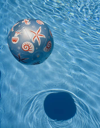 Beach ball in blue poolの写真素材