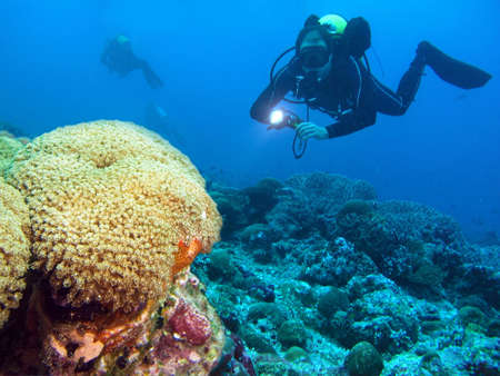 A diver floating over a coral reef        の写真素材