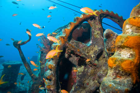 Bow side of the wreck の写真素材