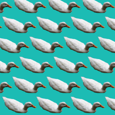 White Duck Polygon Art wallpaperの写真素材