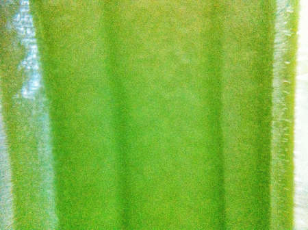 Green linesの素材