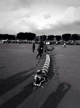 black and white dragonの素材