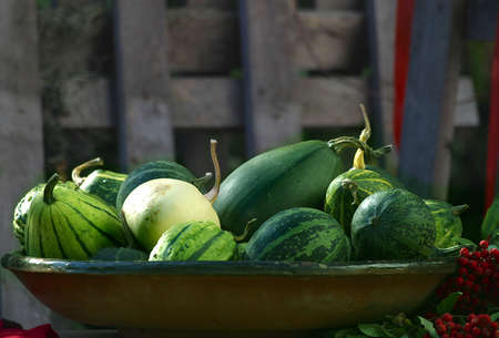 Still-life from a pumpkinの写真素材