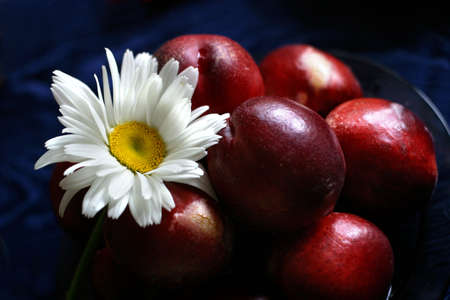 The plate, full fruits with a camomileの写真素材