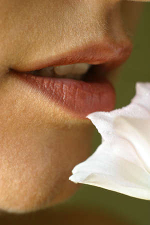 Lips of the woman and a white flower. It is made by means of a macro-ringの写真素材