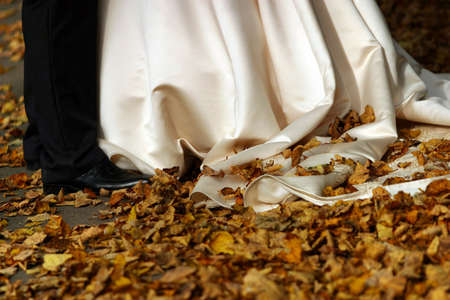The image of legs of the bride and the groom, on a hem of a atlas dress yellow foliageの写真素材