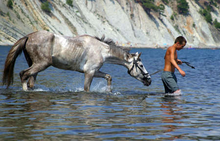 The boy bathes the horse in the seaの写真素材