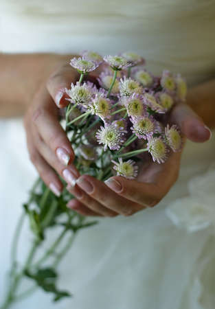 Bouquet from small chrysanthemums in female handsの写真素材