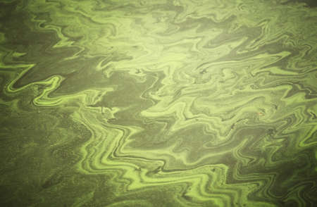 Background dirty water with green divorcesの写真素材