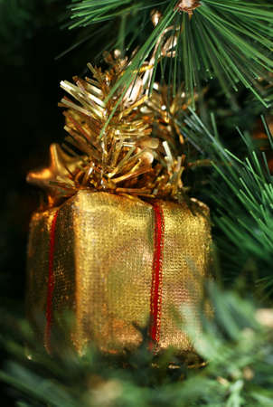 Gold box of a gift on a background of green fur-treesの写真素材