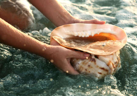 The big conch shell on a background of water with sparks