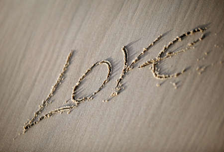 The word の写真素材