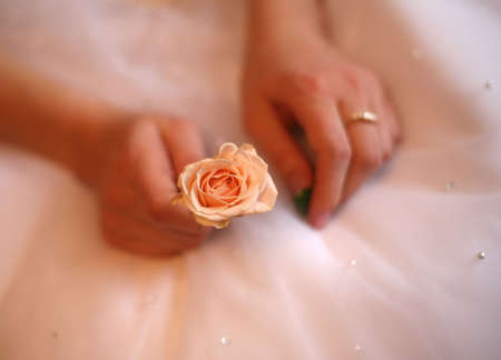 Hands of the bride with a ring and a small rose. All is dim, a flower in a zone of sharpnessの写真素材