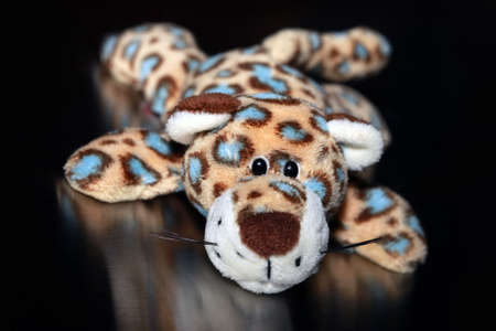 Cuddly leopard toy isolated on black backgroundの写真素材