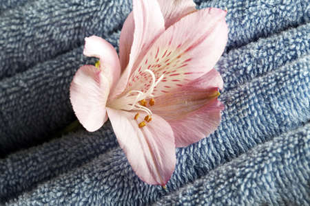 Stack of soft blue towels with flowerの写真素材