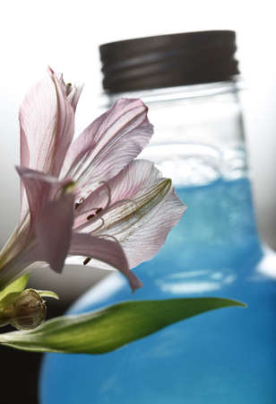 Bottle with blue shampoo and pink flowerの写真素材