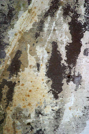 Full screen high resolution shot of wall