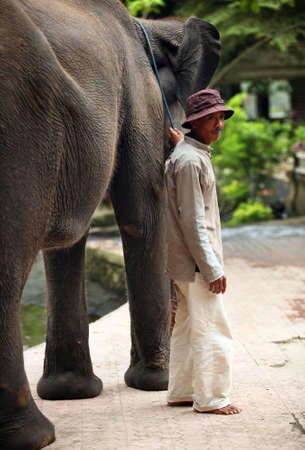 Indonesia, Bali 30 october 2007: The big elephant holds a trunk the man 30 october 2007 on Bali. Indonesiaのeditorial素材