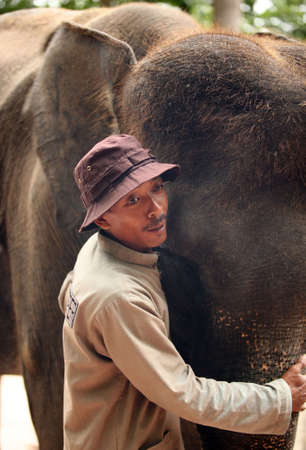 Indonesia, Bali 30 october 2007: The big elephant and man 30 october 2007 in Bali zoo. Indonesiaのeditorial素材