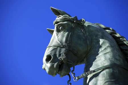 Louis XIV's statue in front of the Versailles Chateau. Detailのeditorial素材