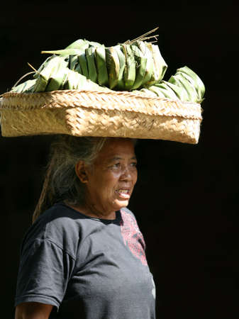 Bali. Indonesia, 24 February 2008: The adult woman - the seller with a basket on a head 24 February on Bali, Indonesia.のeditorial素材