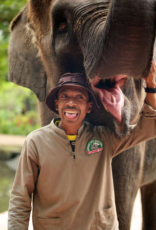 Indonesia, Bali 30 october 2007: The big elephant and man 30 october 2007 in Bali zoo. Indonesiaのeditorial素材