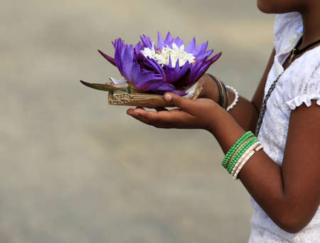 Flowers of a lotus in hands of the little girlの写真素材